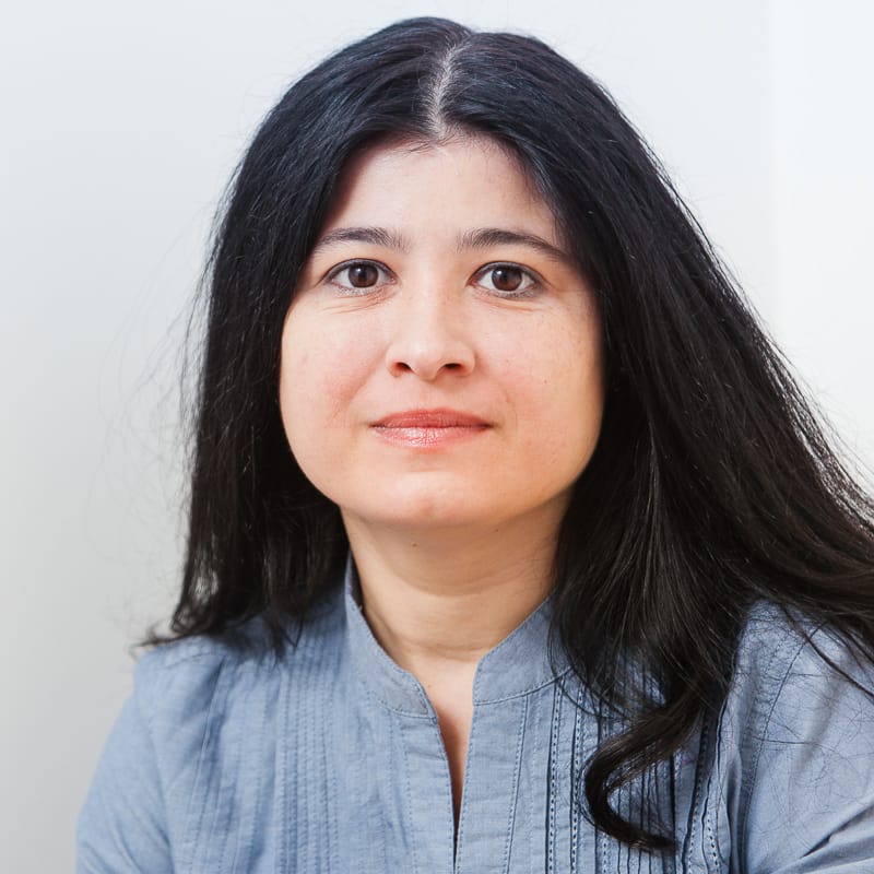 Mihaela Oancea. Facilitator